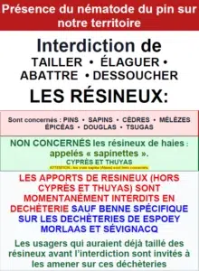 ALERTE VIGILANCE : NÉMATODE DU PIN