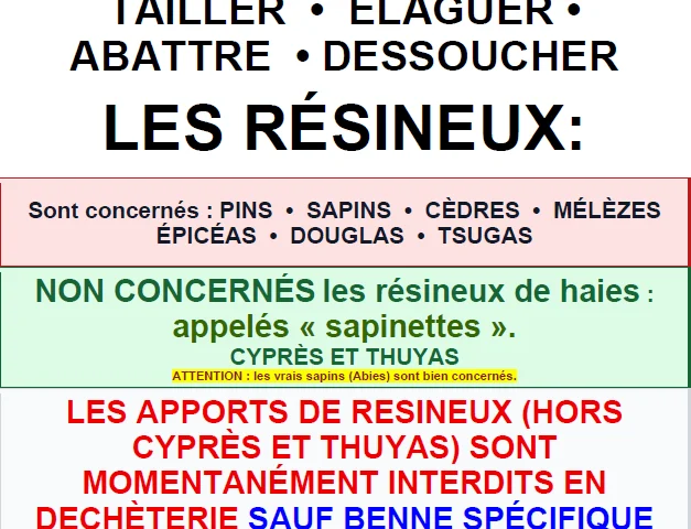 ALERTE VIGILANCE : NÉMATODE DU PIN