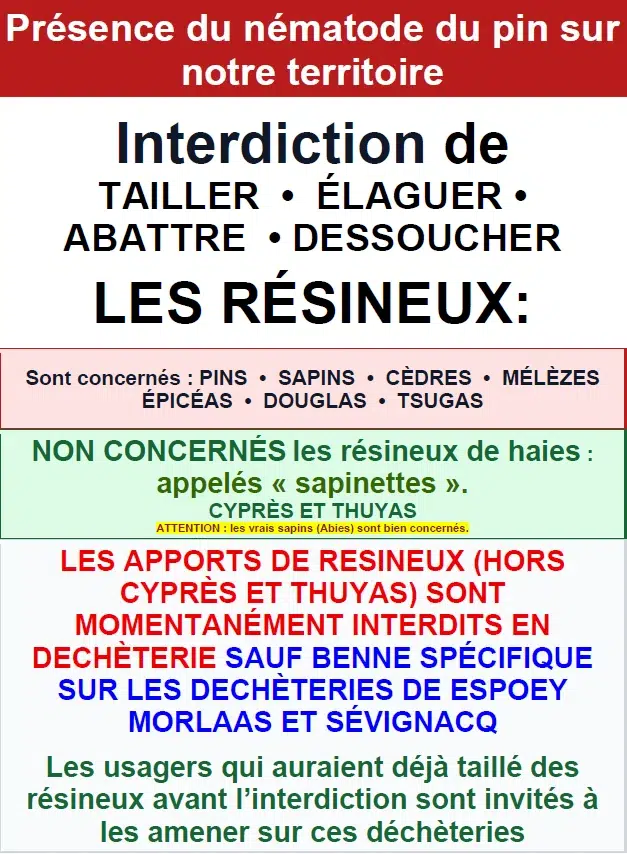 capture d'écran 2026 08 04 093759