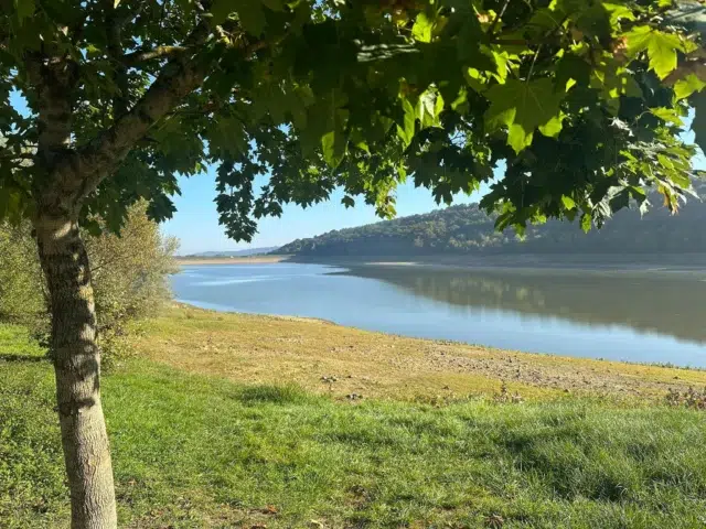 VIGILANCE : CYANOBACTÉRIES AU LAC DU GABASSOT